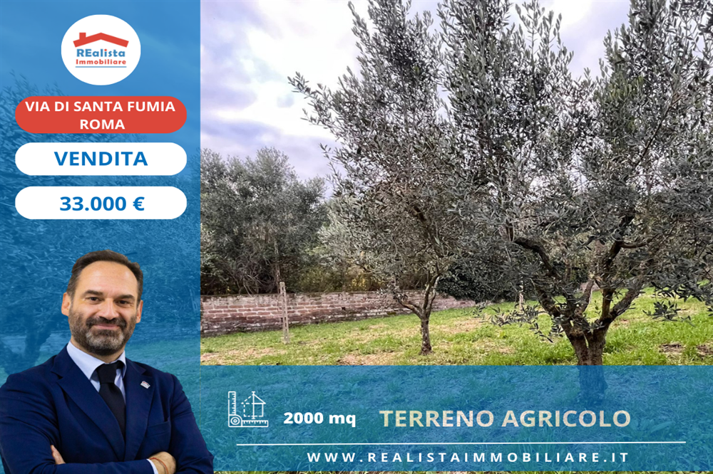 Foto Annuncio Immobiliare