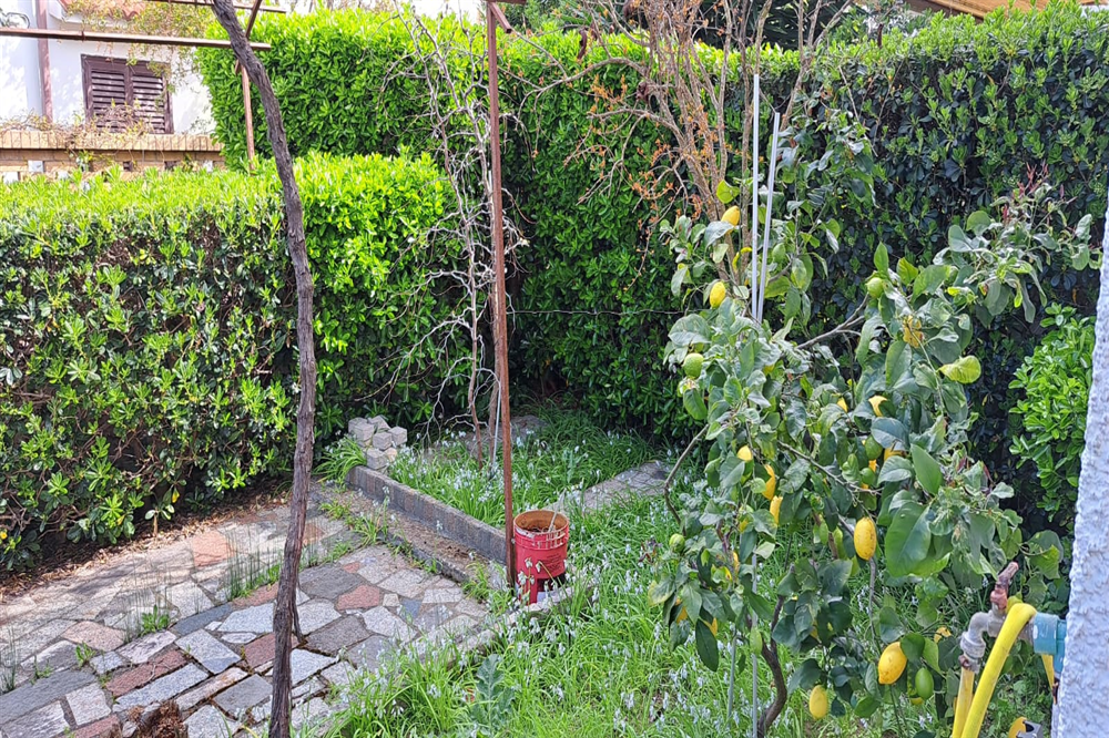 Foto Annuncio Immobiliare